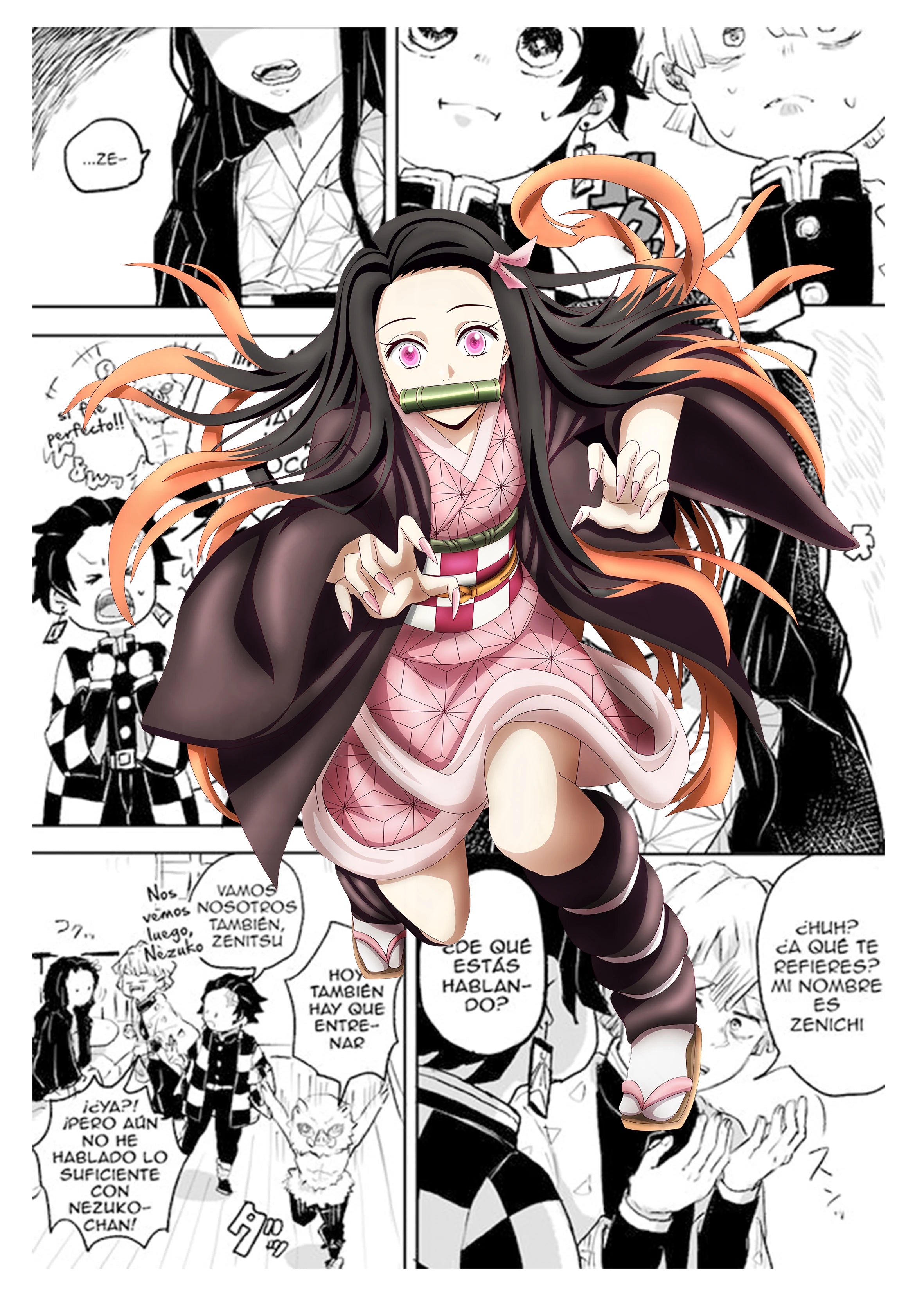 Demon Slayer Canvas Art Print